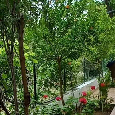 Stavros House παραθαλάσσια μονοκατοικία Dhilesi