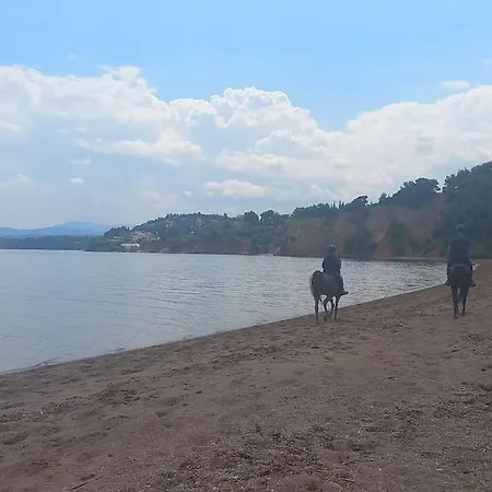 Stavros House παραθαλάσσια μονοκατοικία * Dhilesi