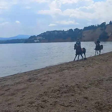 Stavros House παραθαλάσσια μονοκατοικία Dhilesi
